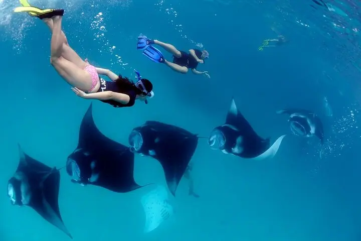 Nusa Penida Snorkeling Adventure (Private & All-Inclusive) — 4