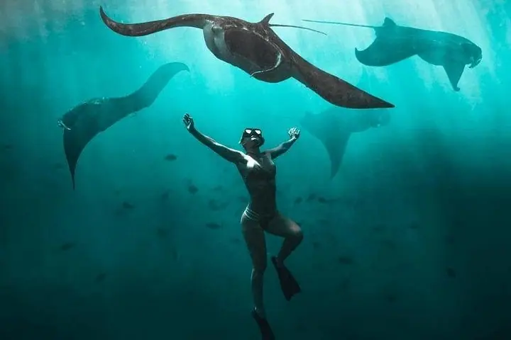Schnorcheln mit Mantarochen in Nusa Penida Experience (All-Inclusive)