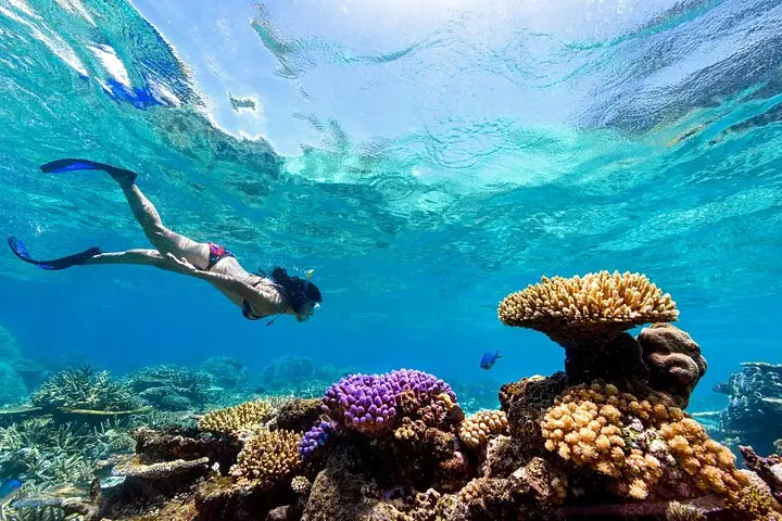 Snorkeling with Manta Rays in Nusa Penida Experience (All-Inclusive) — 3
