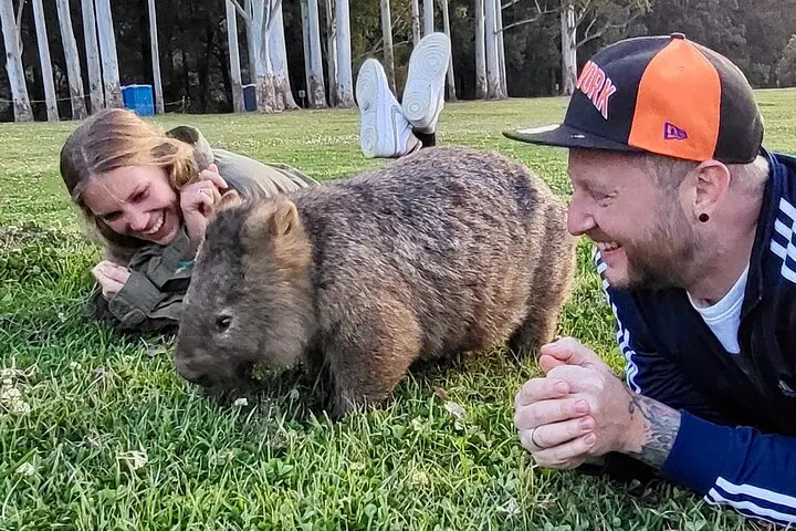 Tour de un día a Wombat y Canguro salvajes, Todo Incluido