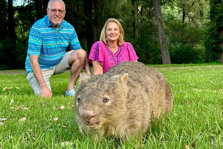 Tour de un día a Wombat y Canguro salvajes, Todo Incluido — 4