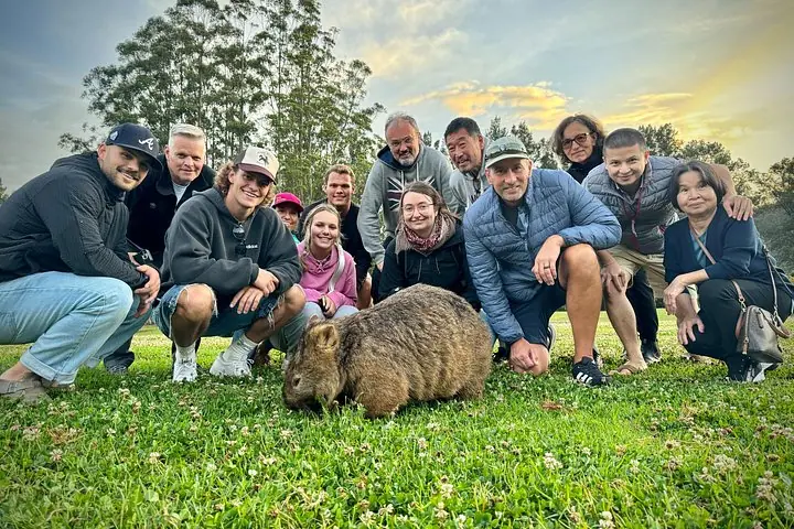Tour de un día a Wombat y Canguro salvajes, Todo Incluido — 5
