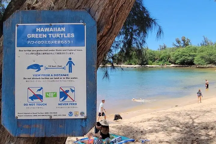 Oahu Small-Group Circle Island Tour with Turtle Snorkeling — 4