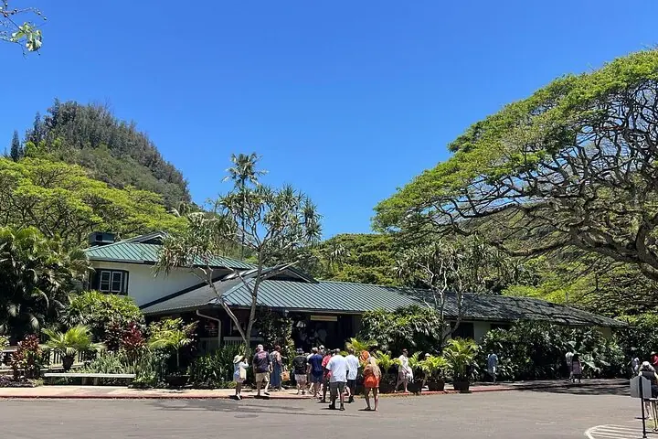 Oahu Small-Group Circle Island Tour with Turtle Snorkeling — 5