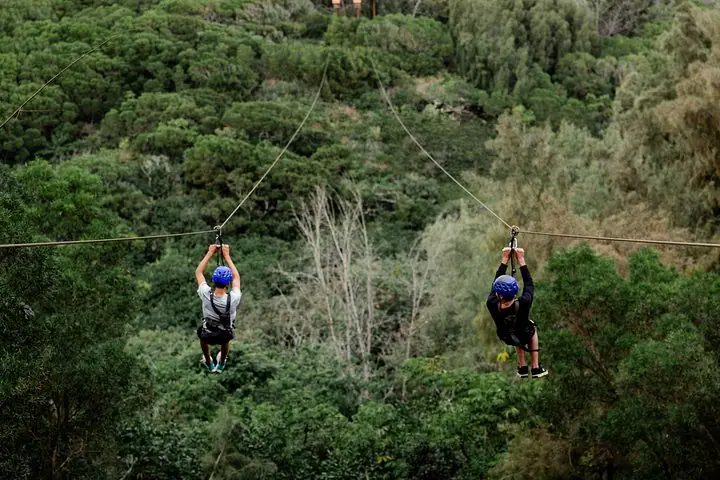Oahu's North Shore : 8 - Aventura en tirolina — 3