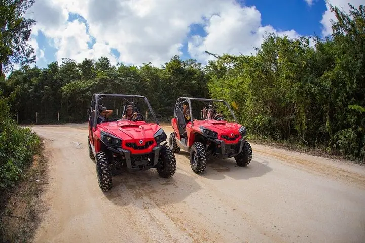 Jungle Buggy Tour from Playa del Carmen Including Cenote Swim — 3