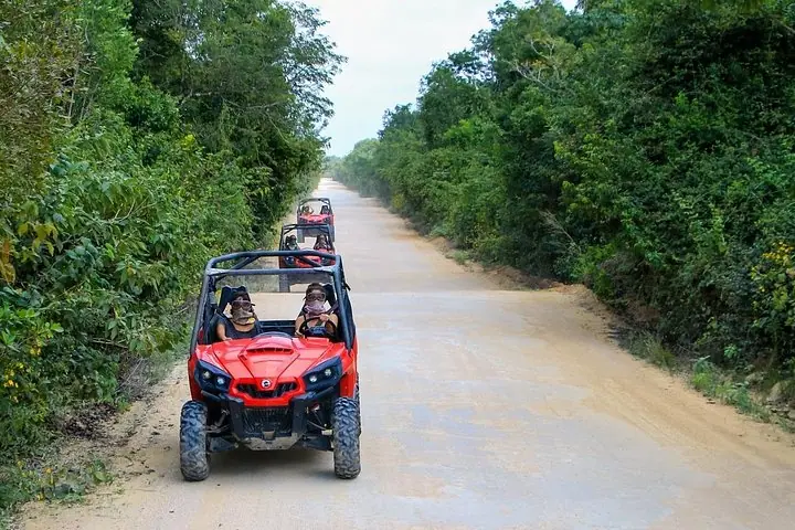 Jungle Buggy Tour from Playa del Carmen Including Cenote Swim — 5
