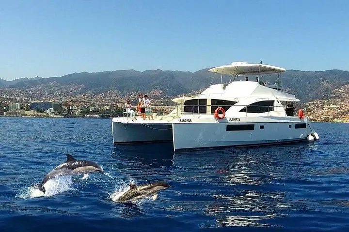 Avistamiento de Ballenas de Lujo — 2