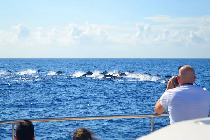 Avistamiento de Ballenas de Lujo — 3