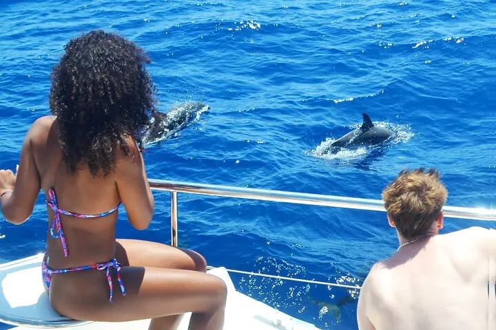 Avistamiento de Ballenas de Lujo — 5