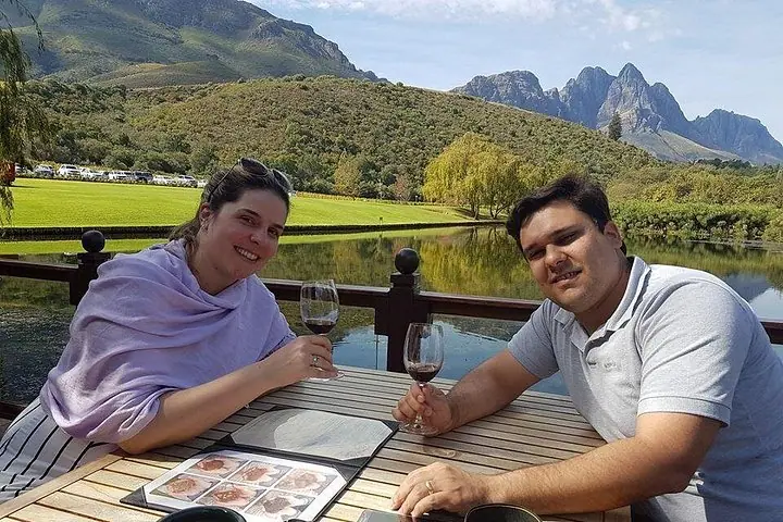 Tour privado de vinos con a las regiones vinícolas de Stellenbosch-Franschhoek