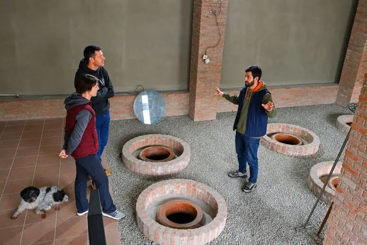 Kakheti - Small wineries and family-cooked lunch • Private tour — 2