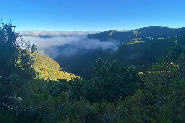 Madeira oreli bo'ylab xususiy to'liq kunlik ekskursiyalari — 5