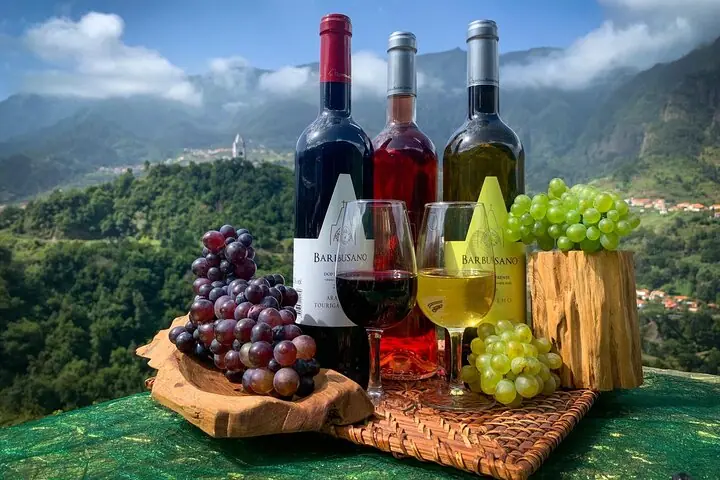 Skywalk con cata de vinos y viñedos Medio día 4x4 Aventura