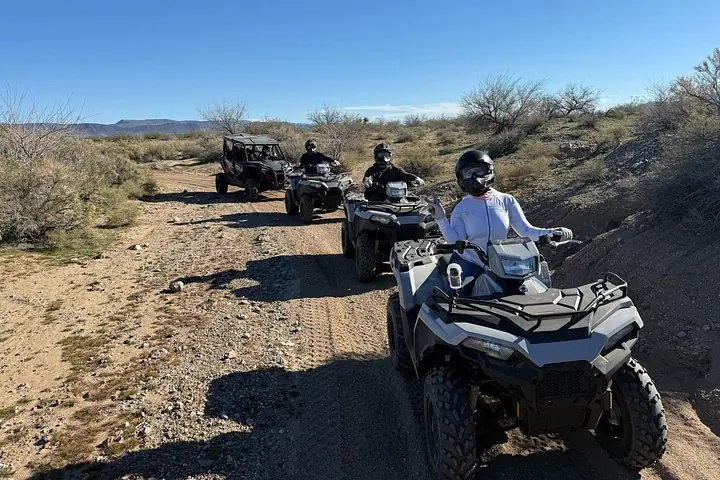 Excursão de meio dia no deserto de Mojave de em ATV — 2