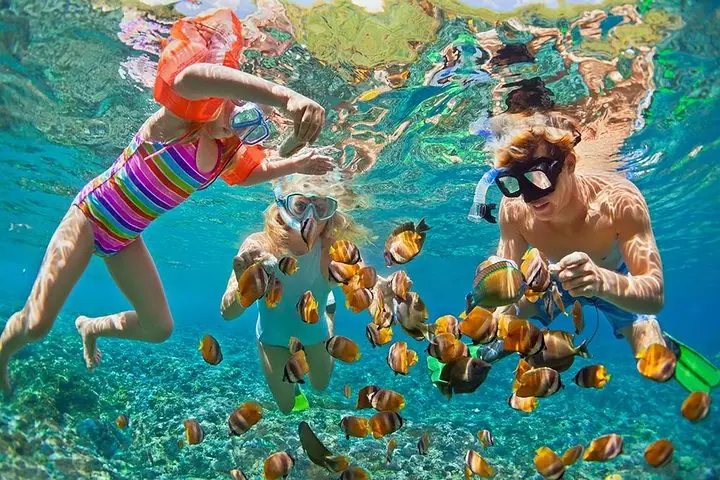 Schnorcheltour auf der Island: Dole, Pali Lookout und mehr