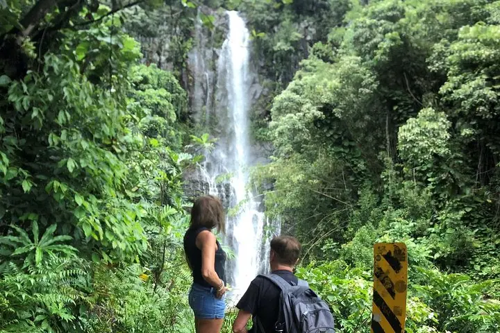 哈纳之路：含黑沙滩与瀑布的全日观光之旅，由4Trip为您呈献 — 2