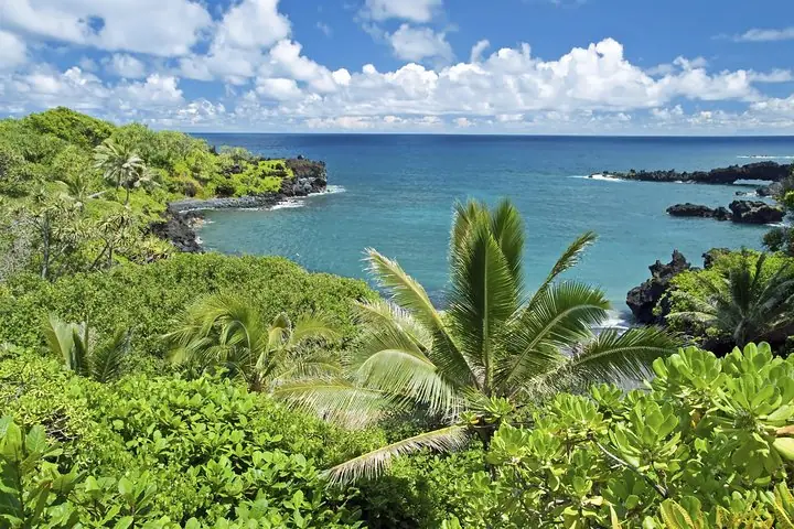 Small-Group Road to Hana Adventure Tour with Pickup & Lunch — 4