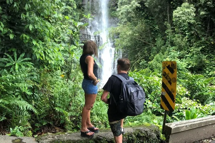 Small-Group Road to Hana Adventure Tour with Pickup & Lunch — 5