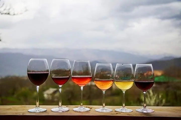 Kakheti All Inclusive Private Wine Tour Including Lunch — 5