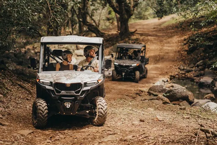 Mavrikiy: 2 soatlik Buggy sayohati - Bel Ombre tabiat qo'riqxonasi