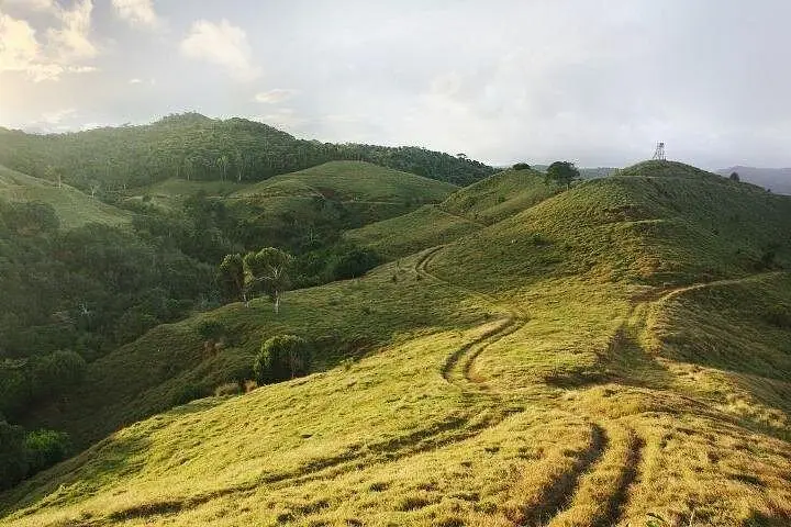 Mauricio: paseo en buggy de 2 horas por la reserva natural de Bel Ombre — 2