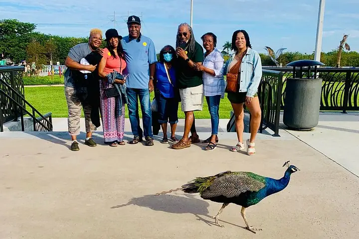 Miami'den Ulaşım Dahil Everglades Küçük Grup Turu (ile) — 5