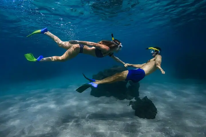 Turtle Town Snorkel With Photo and Video: Turtle Guarantee