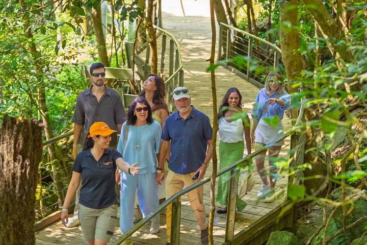 Depart Syd: Blue Mountains Best All Inclusive with Local Guide — 5