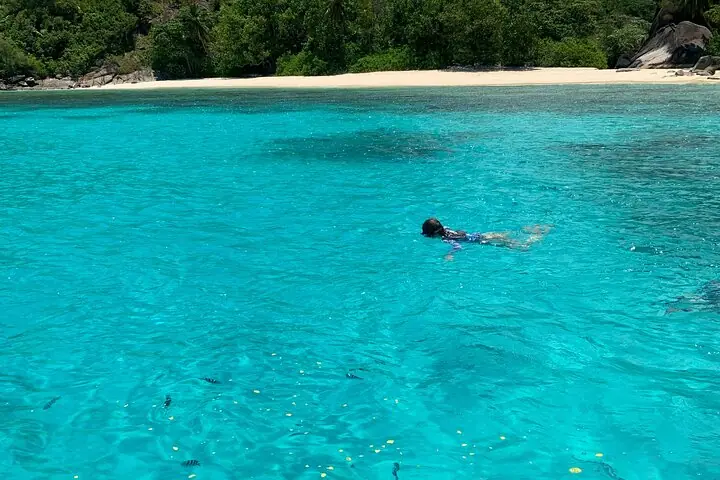 Reef Safari - Snorkeling, Fish Feeding & Lunch (Shared Day Trip) — 3
