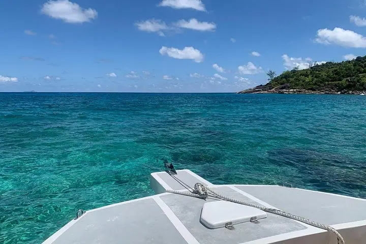 Reef Safari - Snorkeling, Fish Feeding & Lunch (Shared Day Trip) — 5