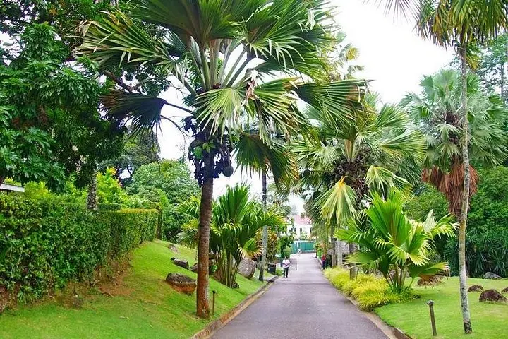Private Mahe Island Full day Tour with Pickup — 5