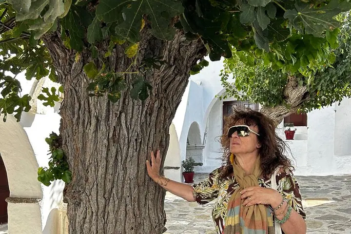 Shaxsiy ekskursiya: Yarim kunda Mikonos oroli