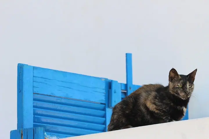 Shaxsiy ekskursiya: Yarim kunda Mikonos oroli — 3