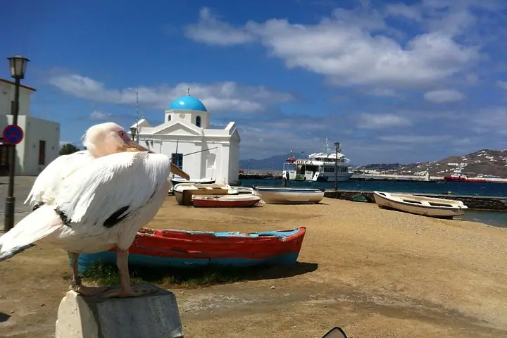 Shaxsiy ekskursiya: Yarim kunda Mikonos oroli — 5