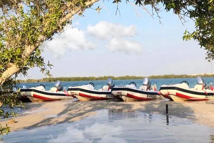 Small-Group Self-Drive Speedboat Tour in Yas Island Mangroves — 3