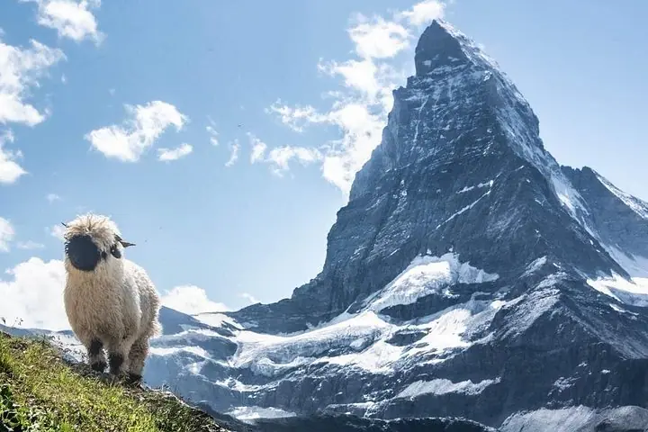Guided Hiking Half Day in Zermatt — 4