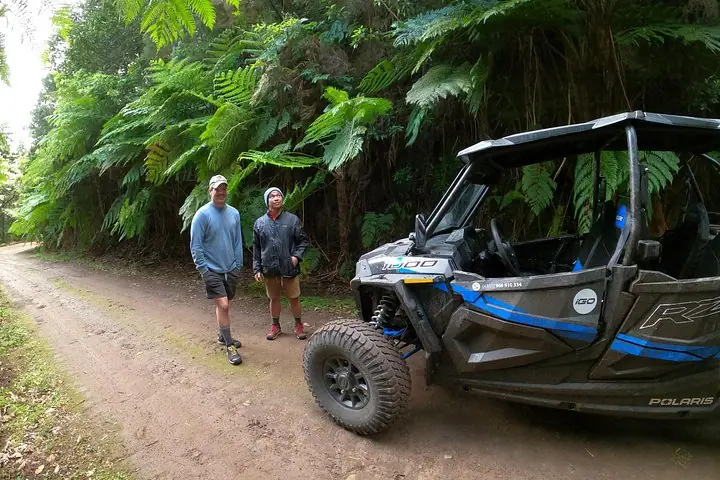 Madeira Private Buggy Adventure: Forest and Mountains — 3