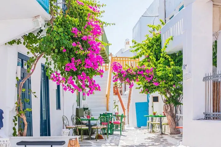 Mykonos Small Group Tour for Cruise Passengers — Port Pickup — 5