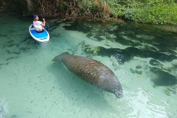 ：SUP/皮划艇自然与海岛探索之旅 — 2