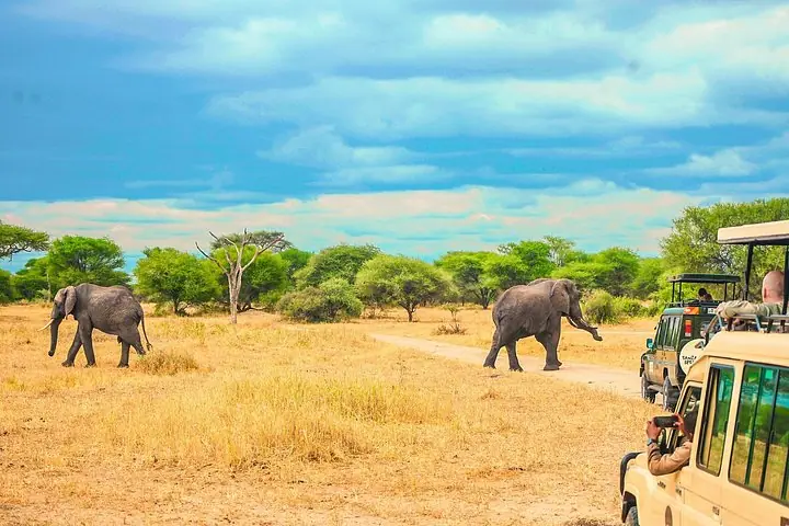 Day Safari tour to Selous Game Reserve from Zanzibar — 5