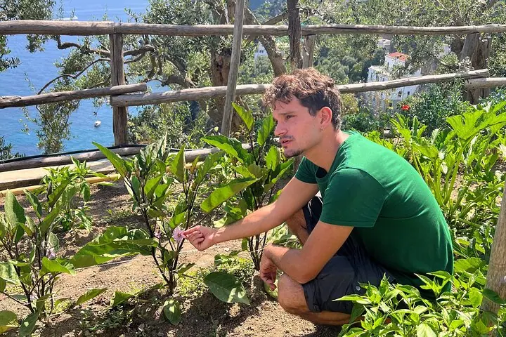 阿玛菲海岸沉浸式烹饪课程与农庄之旅 — 5
