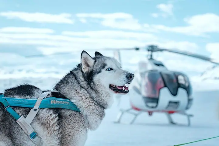 Fire and Ice Helicopter Tour Glacier and Hengill Geothermal Area — 5