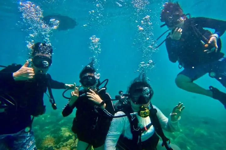 Voted Honolulu's #1 Beginner Scuba Diving + Free Videos Tour — 2