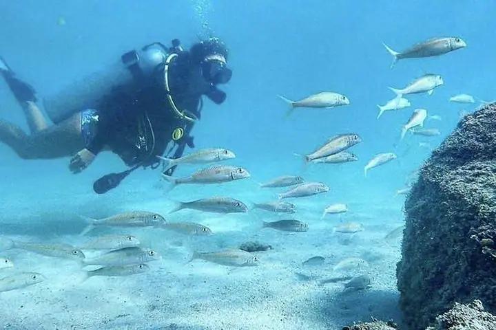 Voted Honolulu's #1 Beginner Scuba Diving + Free Videos Tour — 5