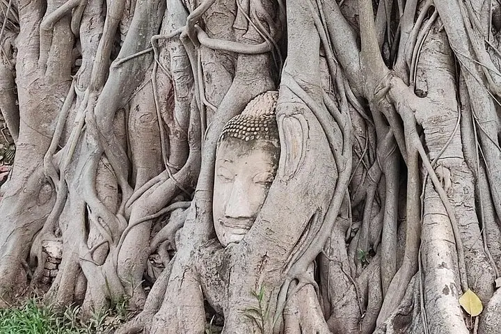 Tour privado a Ayutthaya, Patrimonio de la Humanidad, con paseo en barco — 4