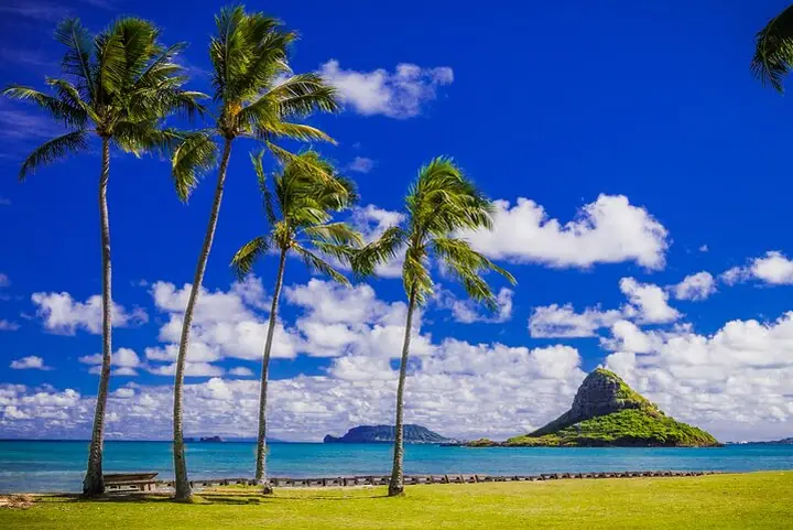 Oahu : Grand Tour Around Island mit Schnorcheln — 2
