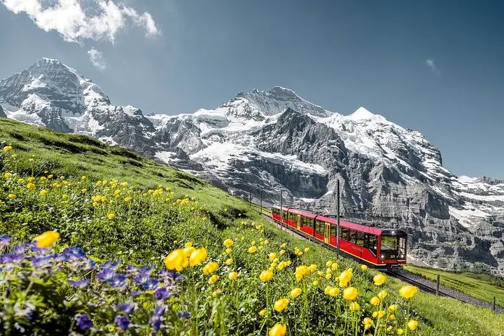 Interlakendan Yevropaning cho'qqisi Jungfraujochga bir kunlik sayohat
