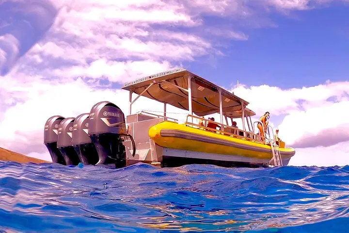 Molokini Crater Snorkel y Turtle Cove Aventura de alta calidad! — 3