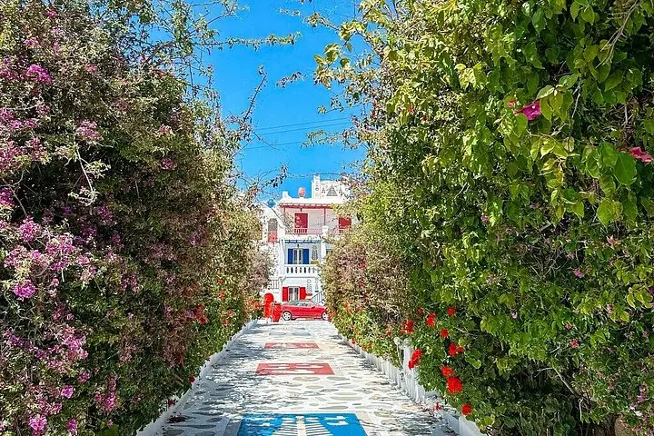 Tour privado de meio dia com um local em Mykonos — 4
